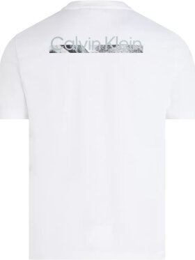 CALVIN KLEIN BACK LOGO GRAPHIC T-SHIRT